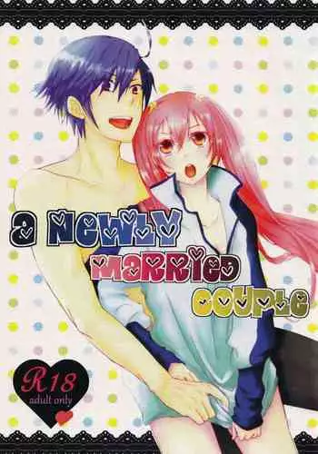 A Newly Married Couple